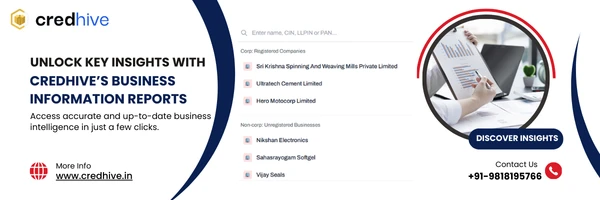 Understanding What is Business Credit Report