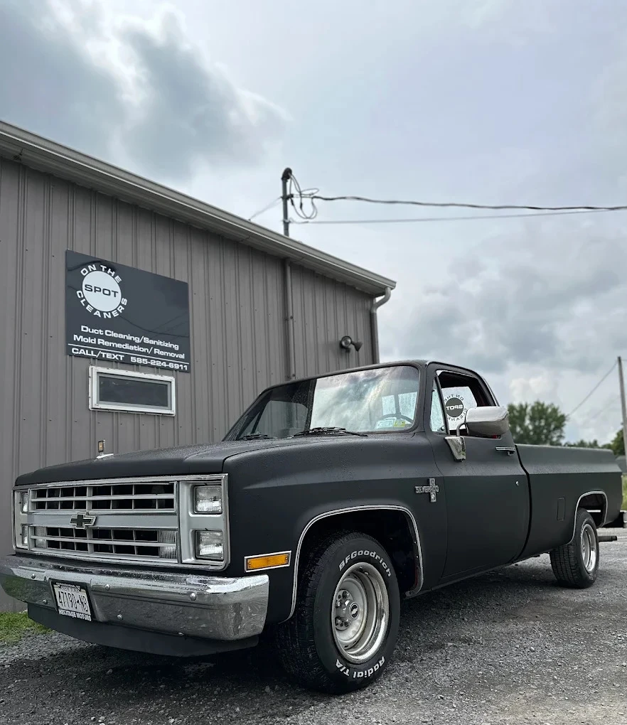How to Get Mold Out of Carpet: Step-by-Step Instant Solution