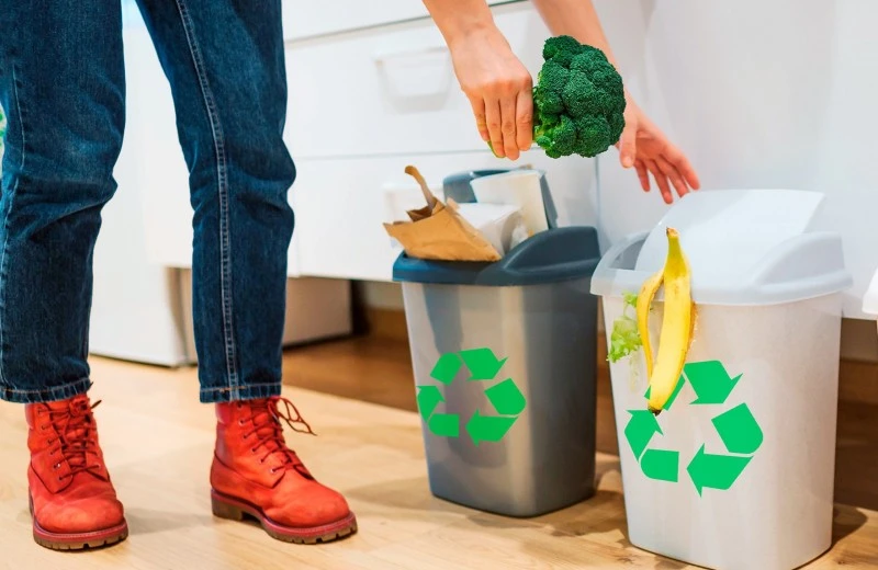 5 Waste Segregation Tips for Households and Businesses