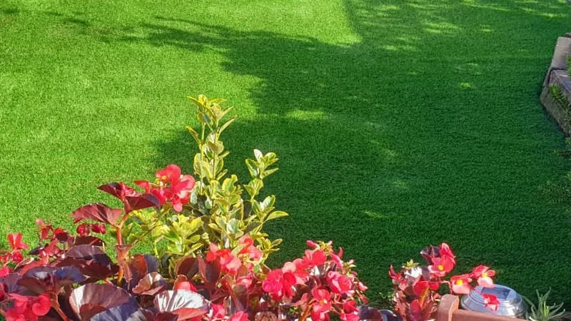 Artificial Lawn Pricing Guide: Understanding Synthetic Lawn Costs