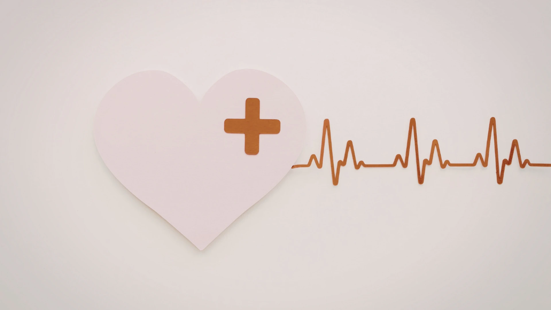 The Heart: How It Works and Why It Matters