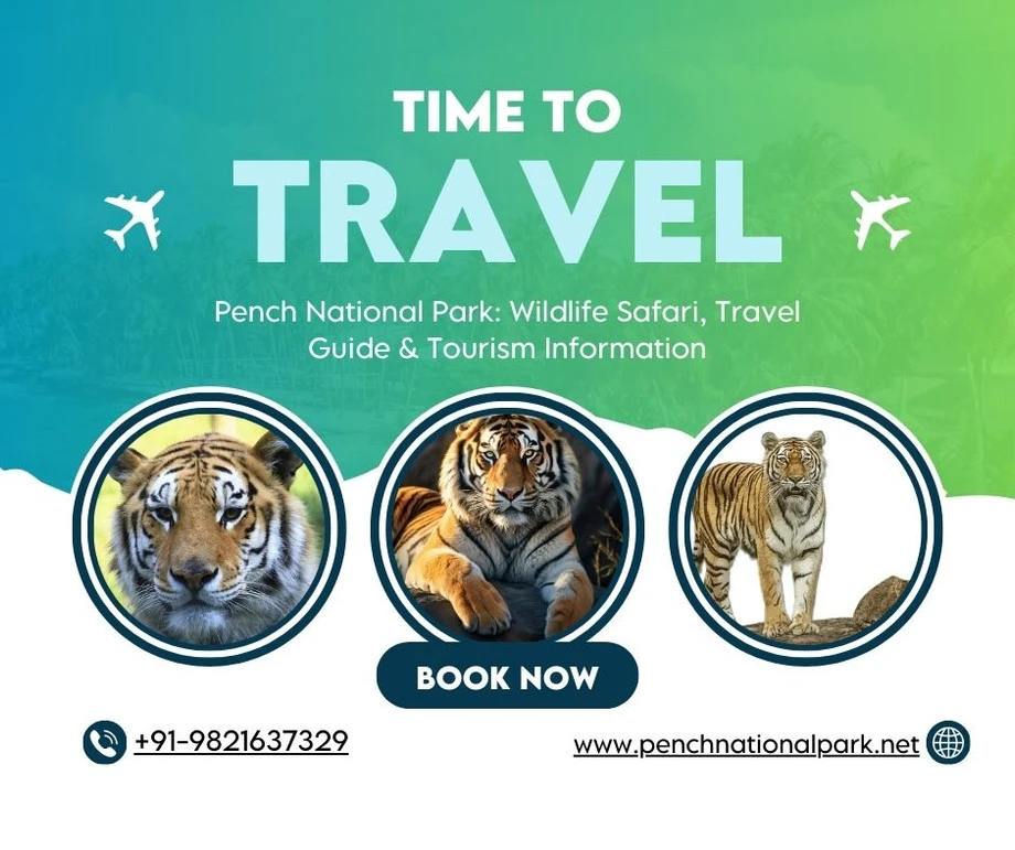 Why Pench National Park Is India’s Hidden Gem for Wildlife Enthusiasts