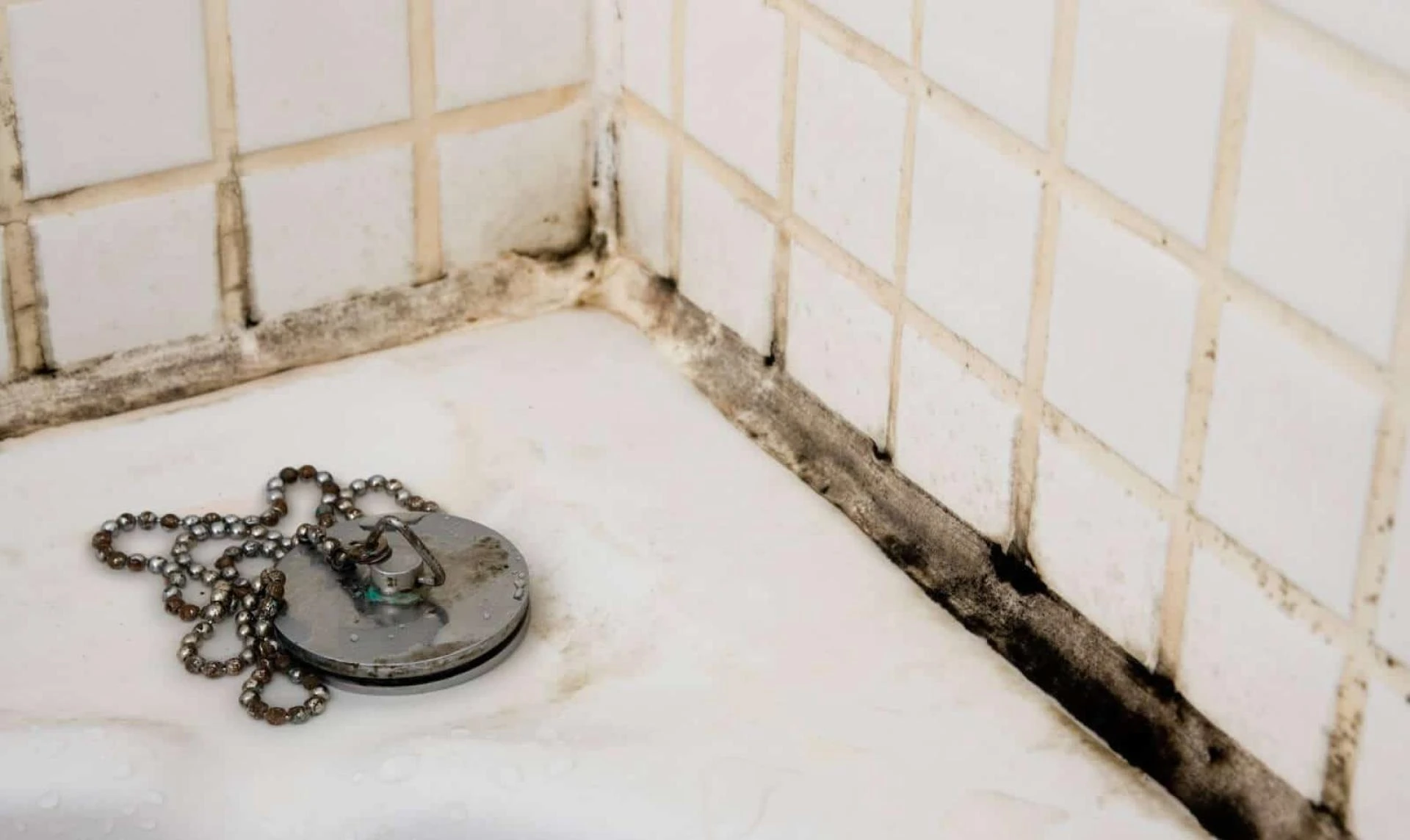 Is Your Shower Grout Hiding a Leak? 5 Subtle Signs Most Homeowners Miss