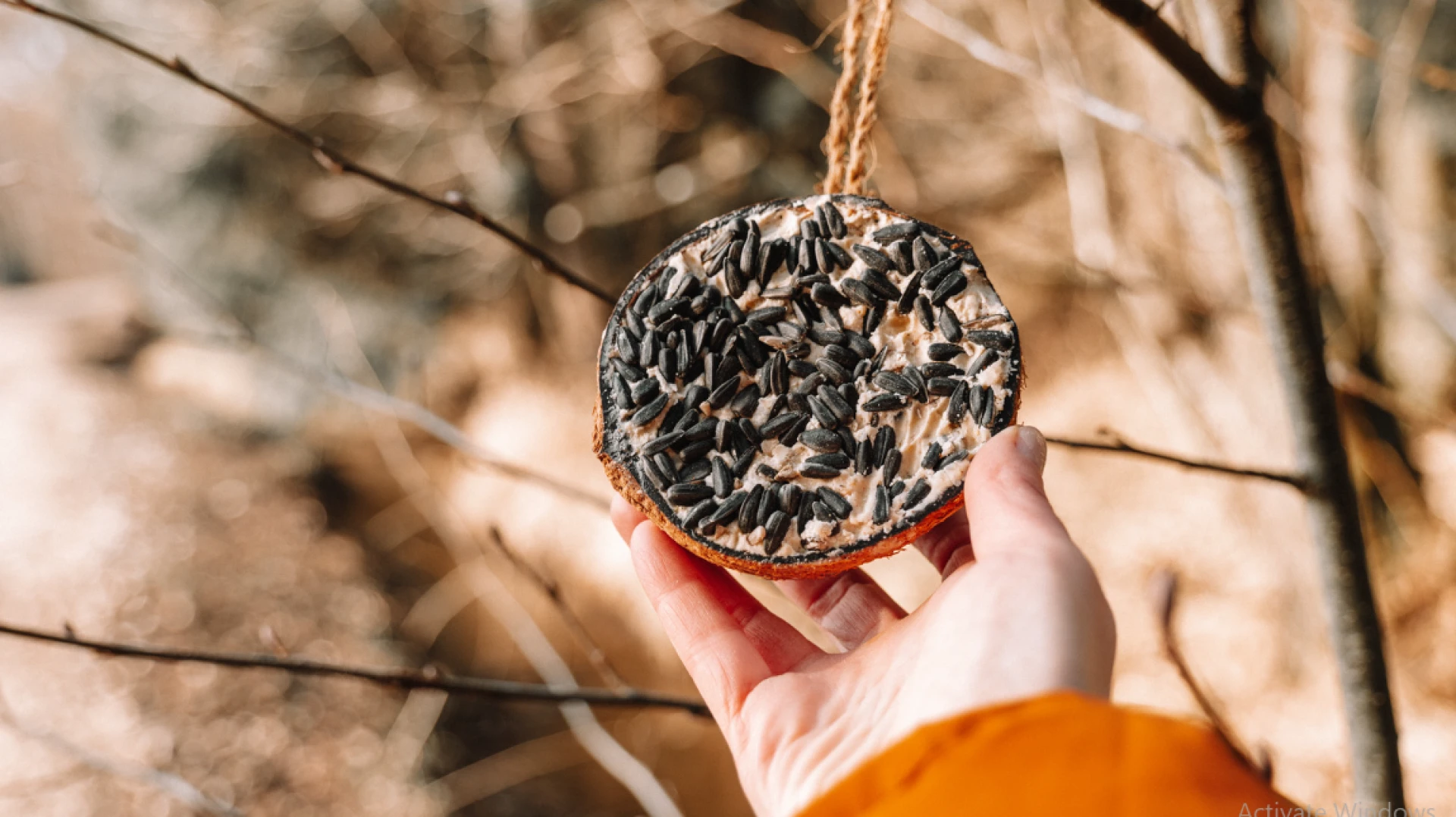 Nature-Based Activities for Little Learners