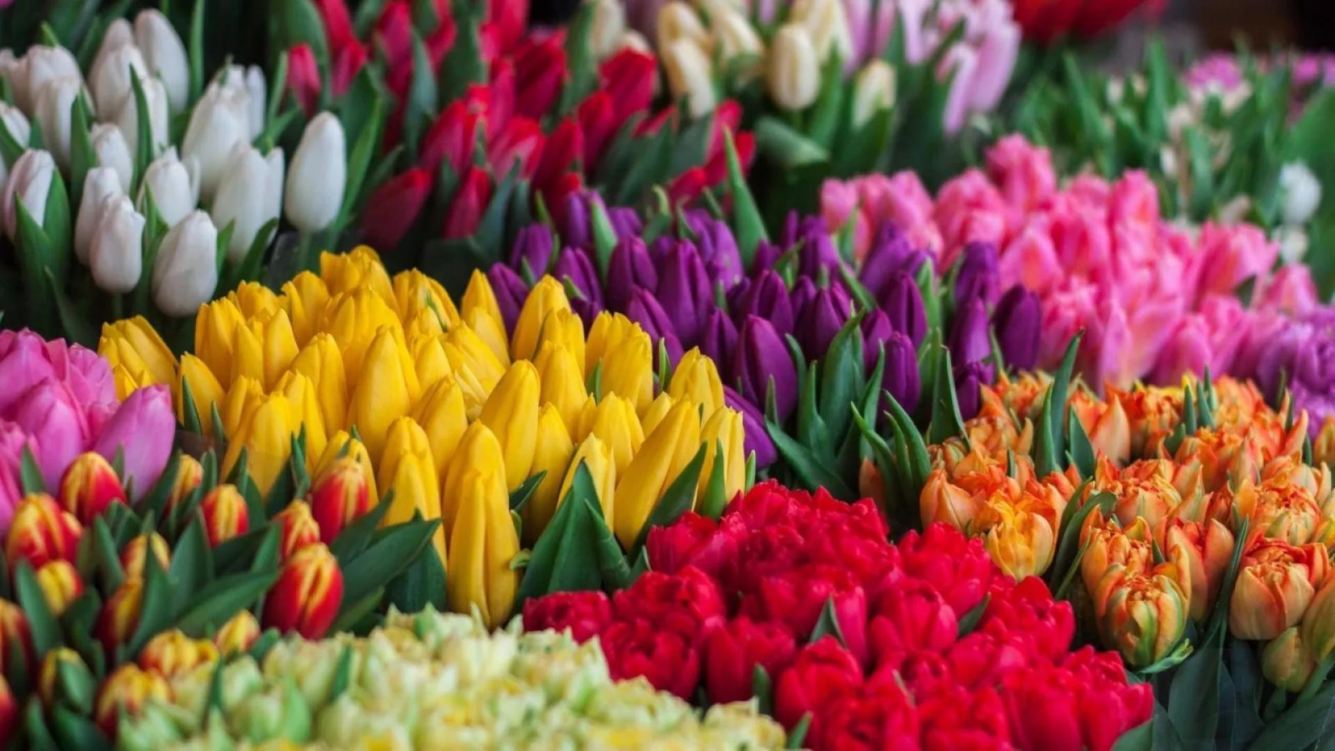 Same Day Flowers Delivery in Dubai – From Someone Who’s Actually Needed It