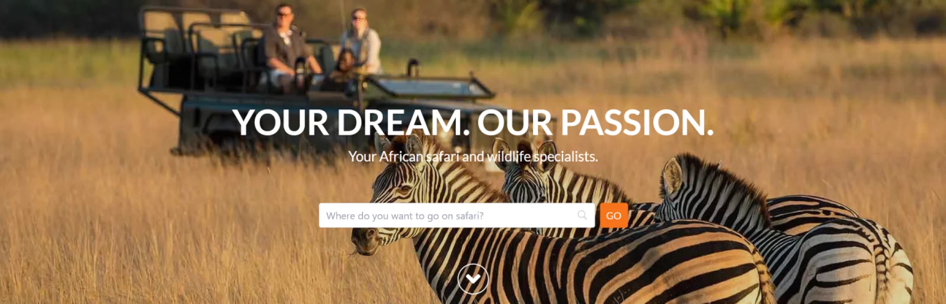 Top 10 Best African Safari Destinations You Must Explore