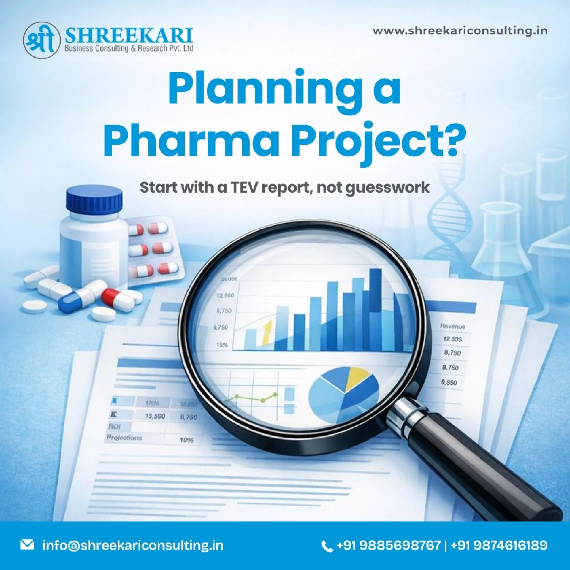 TEV Consultant in India A Strategic Approach to Bankable Projects and Risk Free Financing