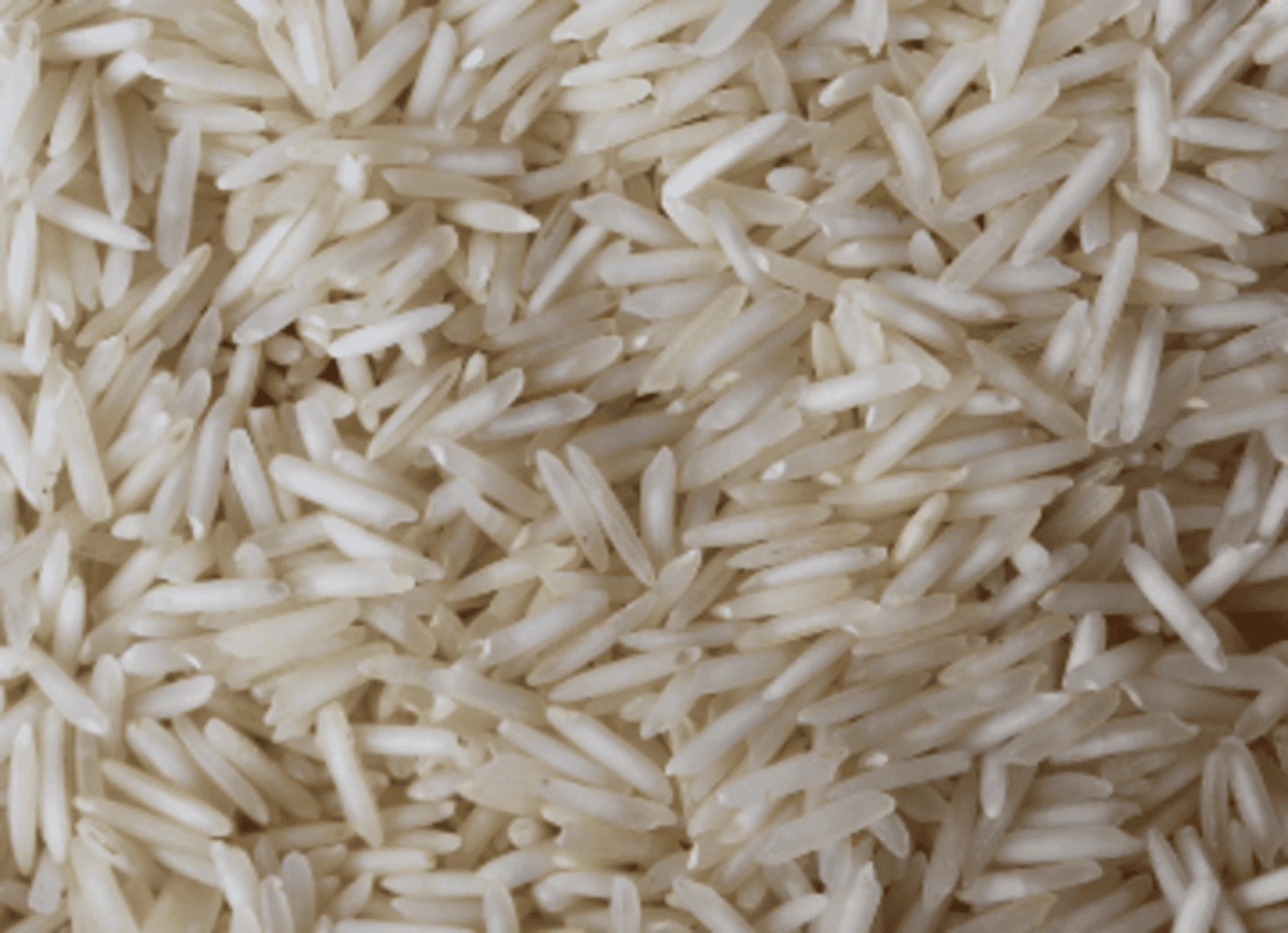 Export Quality Rice in India: Standards, Supply, and Trust