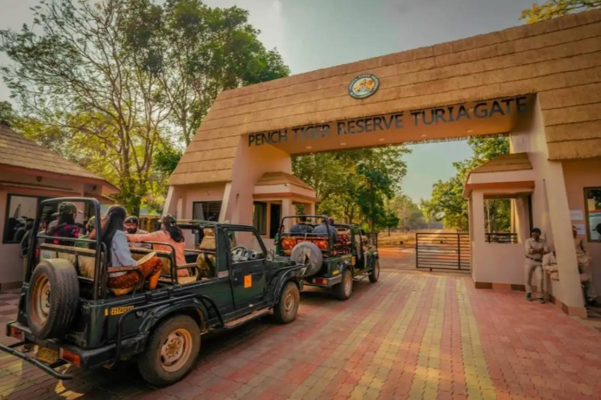 Resort in Pench National Park – Experience Luxury and Nature Together