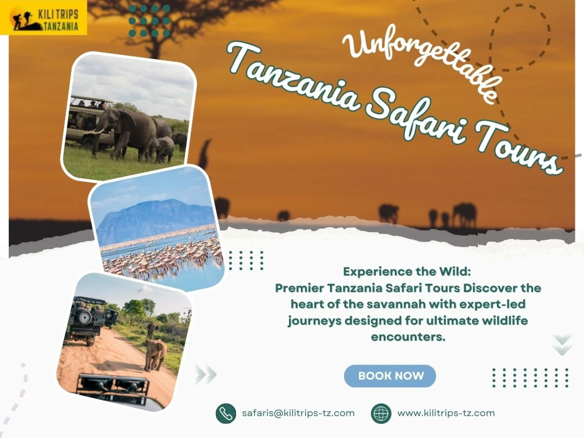 What Should I Pack for a 2026 Tanzania Safari? The Ultimate Checklist