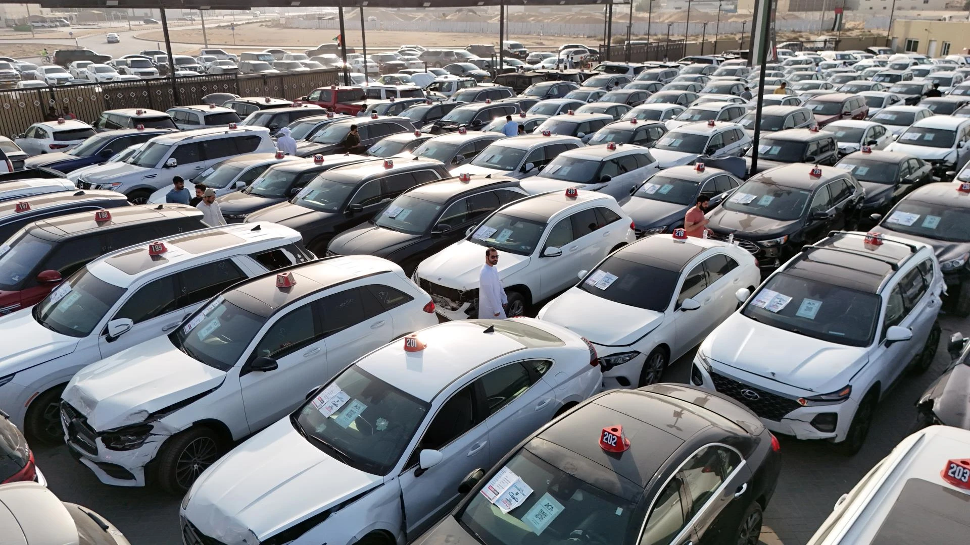 Your Trusted Used Vehicles Auction in Sharjah - Al Qaryah Auction