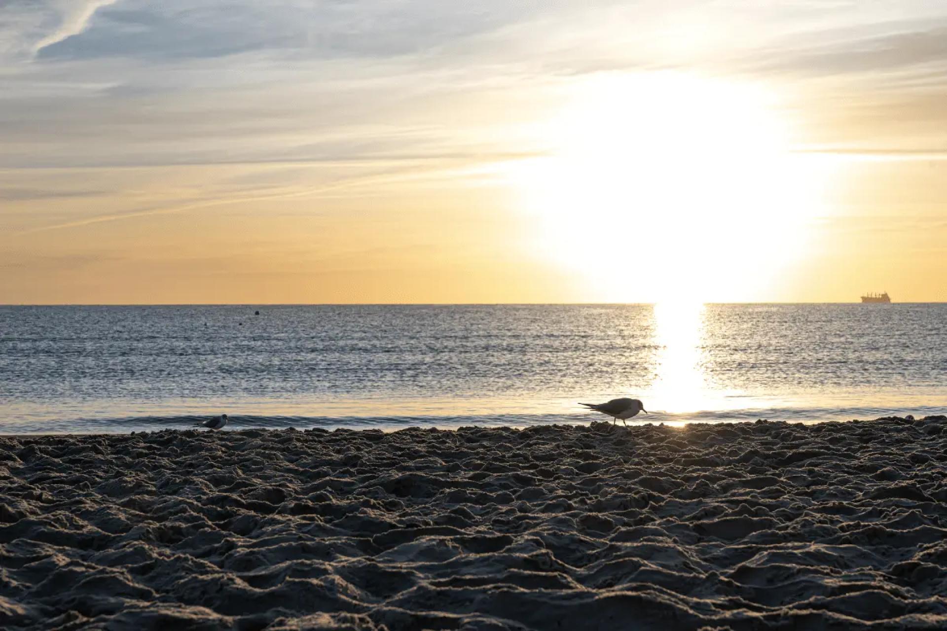 A Complete Guide to Sunshine, Seasons, and Mediterranean Comfort