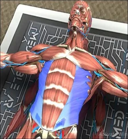 How AR Improves Anatomy Education for Medical, Nursing, and Allied Health Students