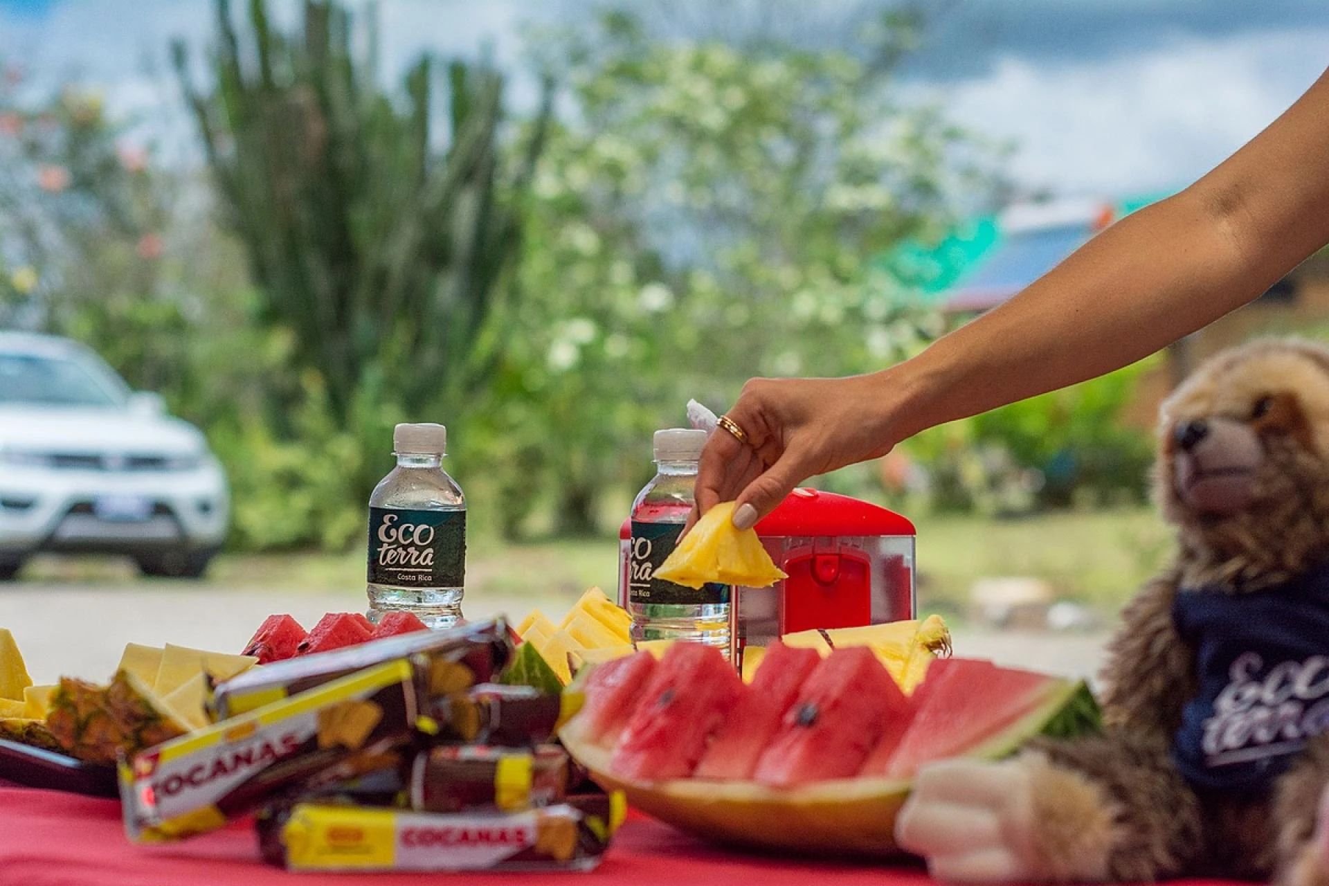 Costa Rica Vacations: A Complete Guide to Travel Packages, Tours, and the Best Time to Visit