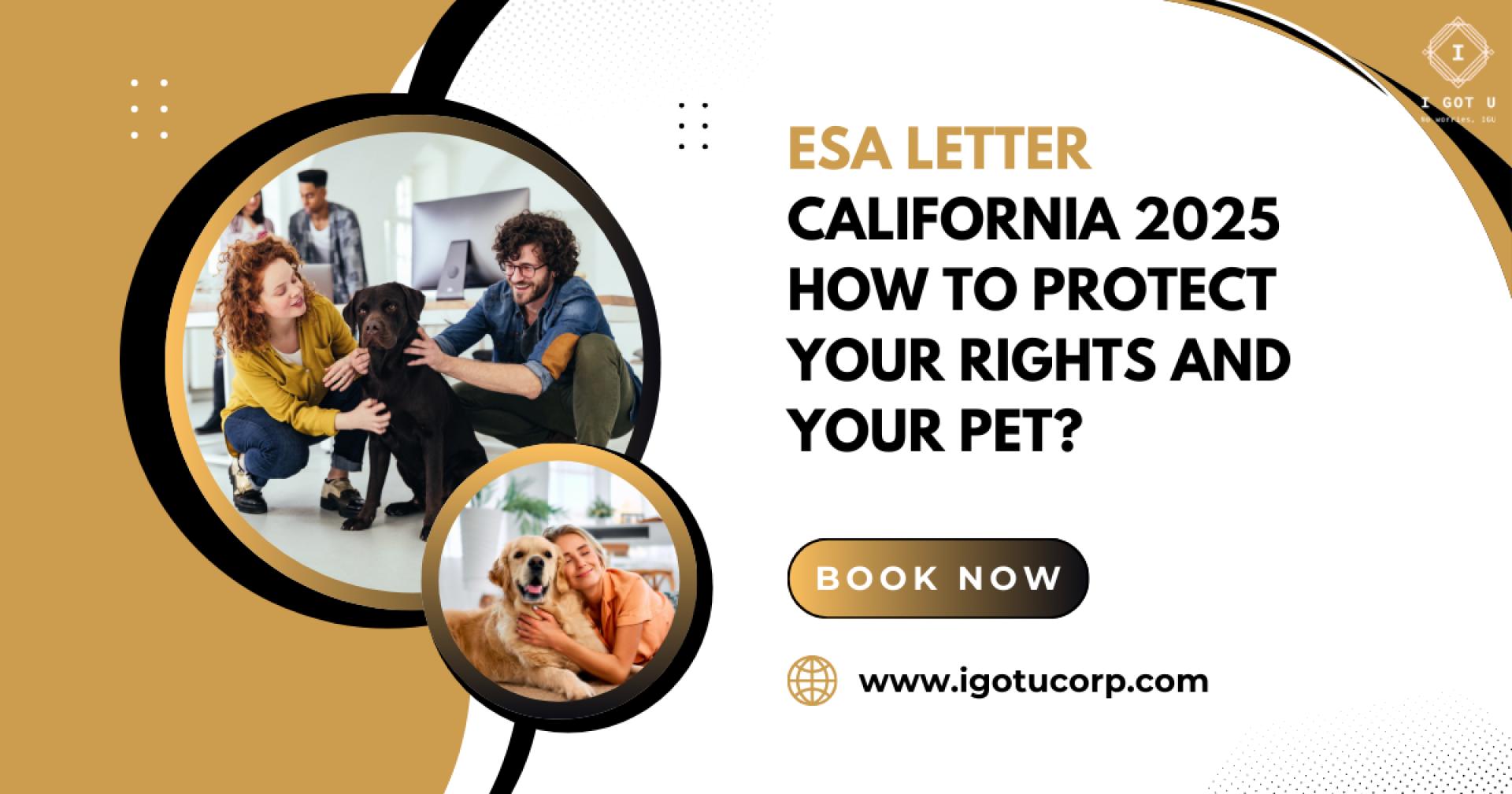 ESA Letter and Licensed Therapist in California: Complete Guide to Mental Health Support