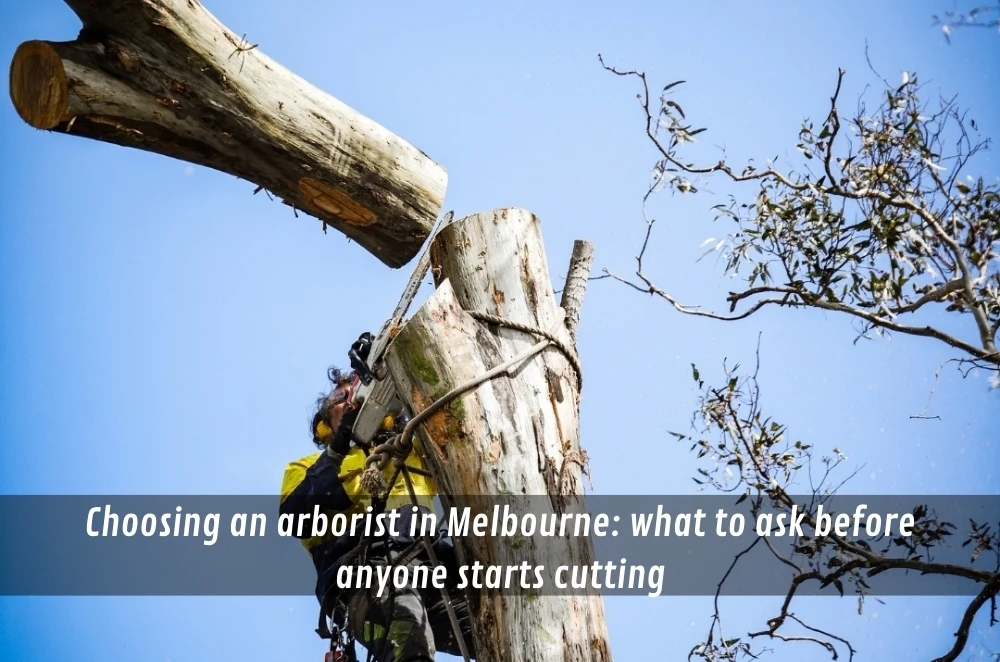 Choosing an arborist in Melbourne: what to ask before anyone starts cutting