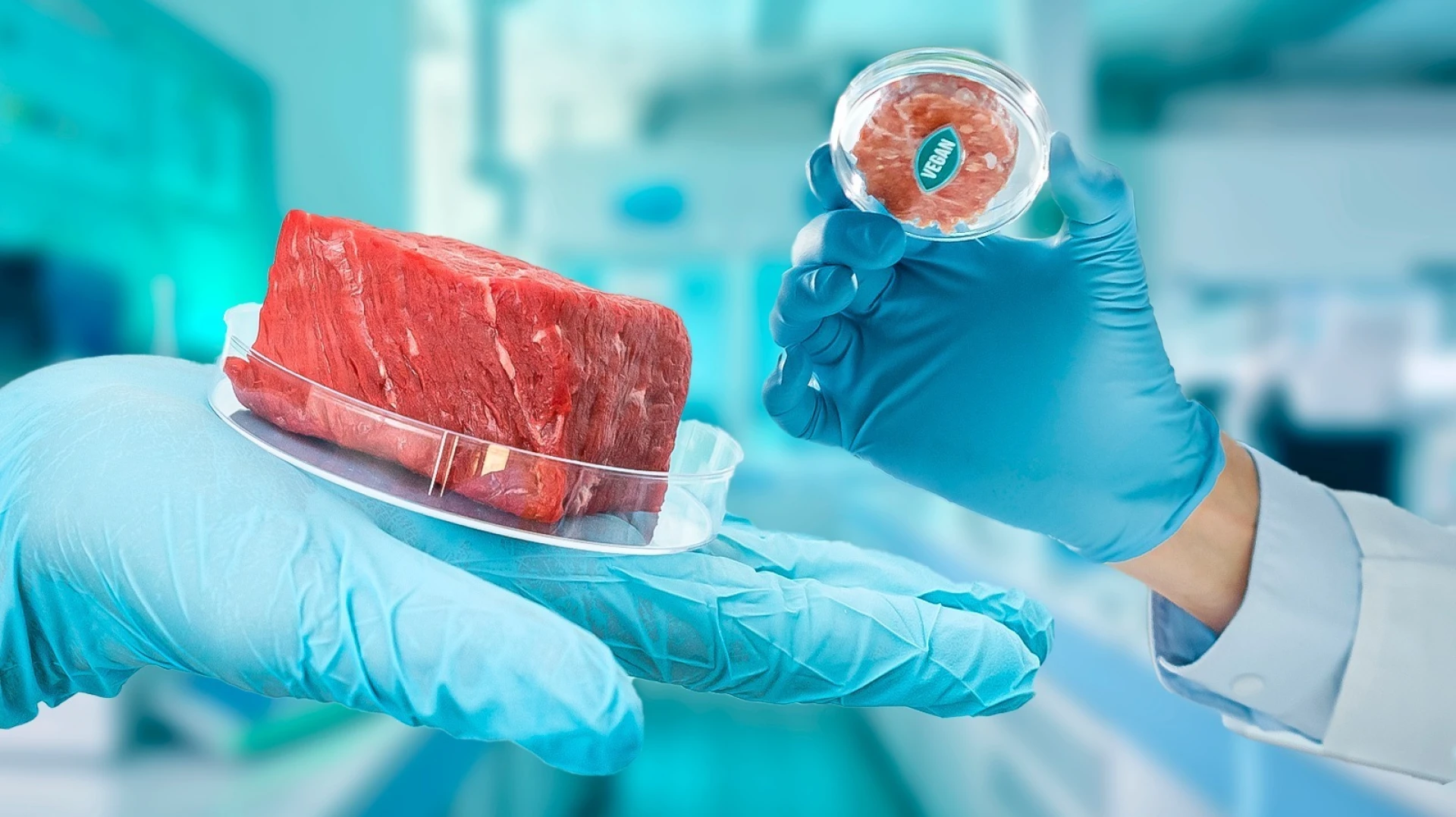 United States Cultured Meat Market Gaining Momentum as Sustainable Protein Innovation Accelerates