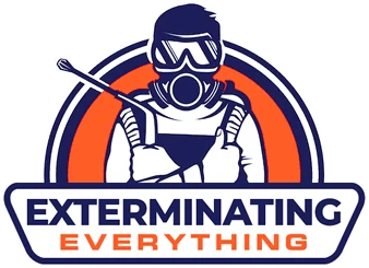 What Questions Should You Ask Before Hiring Spider Control Services?