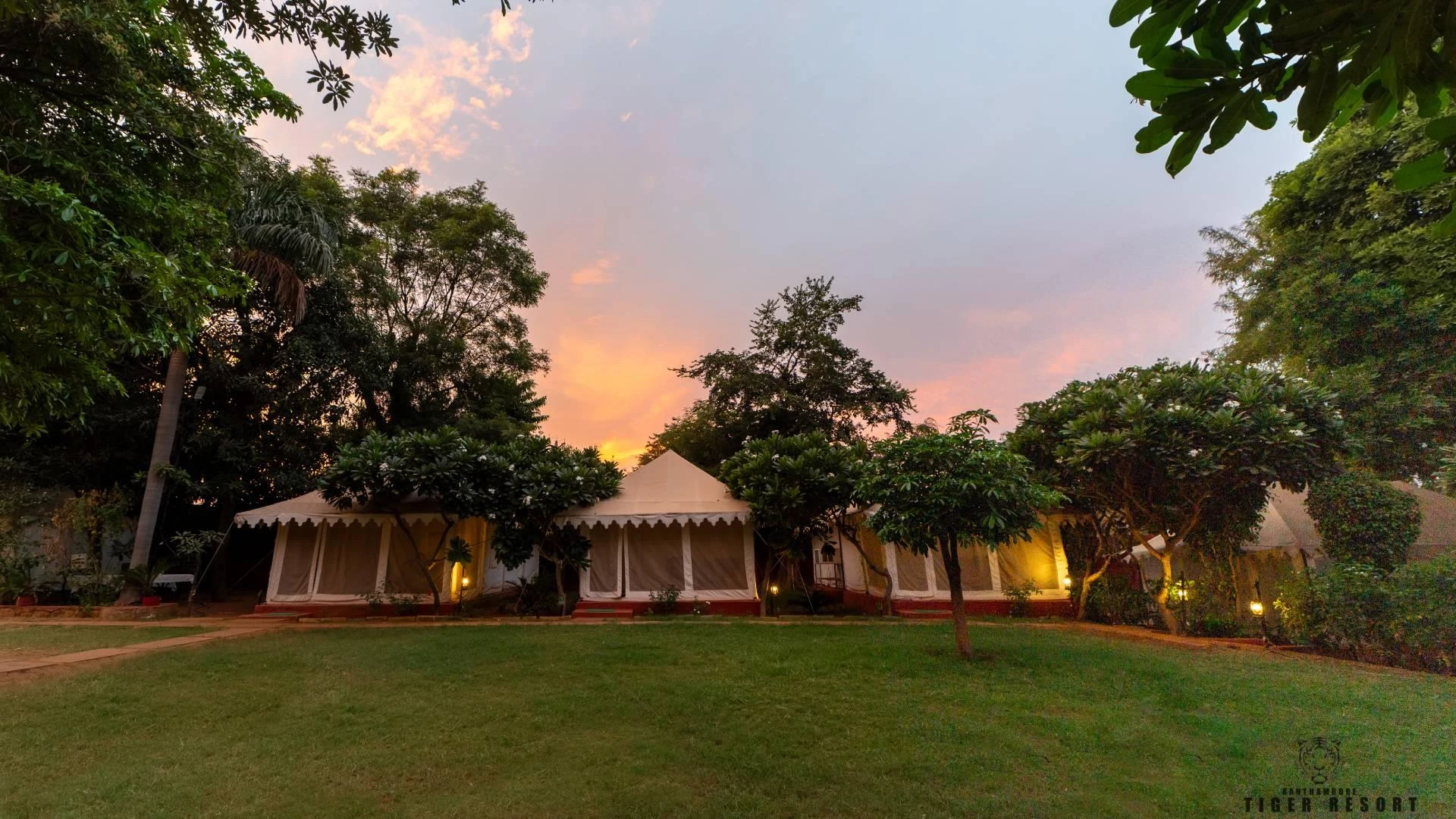 Top Reasons to Book Your Stay at Ranthambore Tiger Resort
