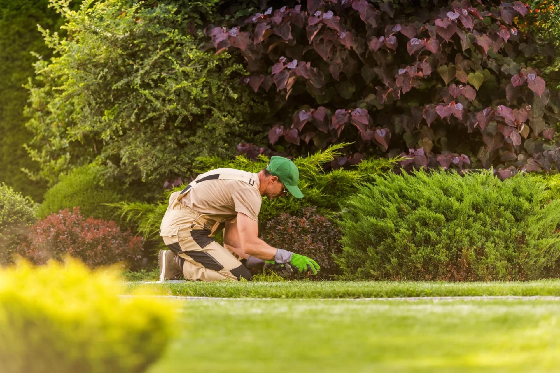 Residential Lawn Maintenance Services In Miami Shores, FL
