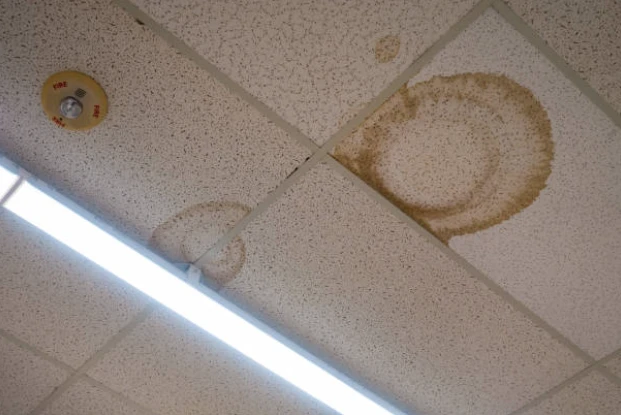Preventing Water Damage in Office Buildings and Retail Stores: A Strategic Imperative for Property Owners