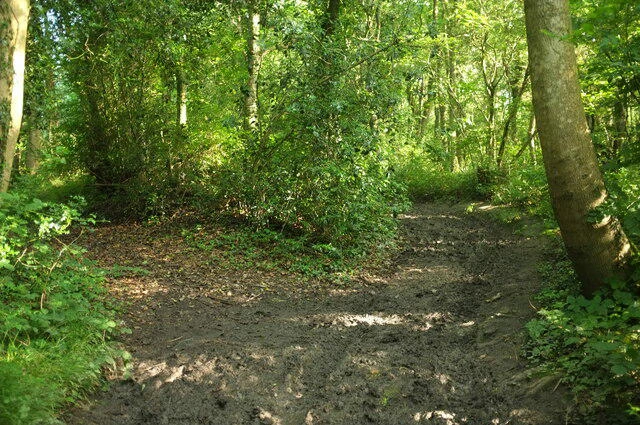 Walking Groups in the UK – Join Friendly Communities on Walkmates