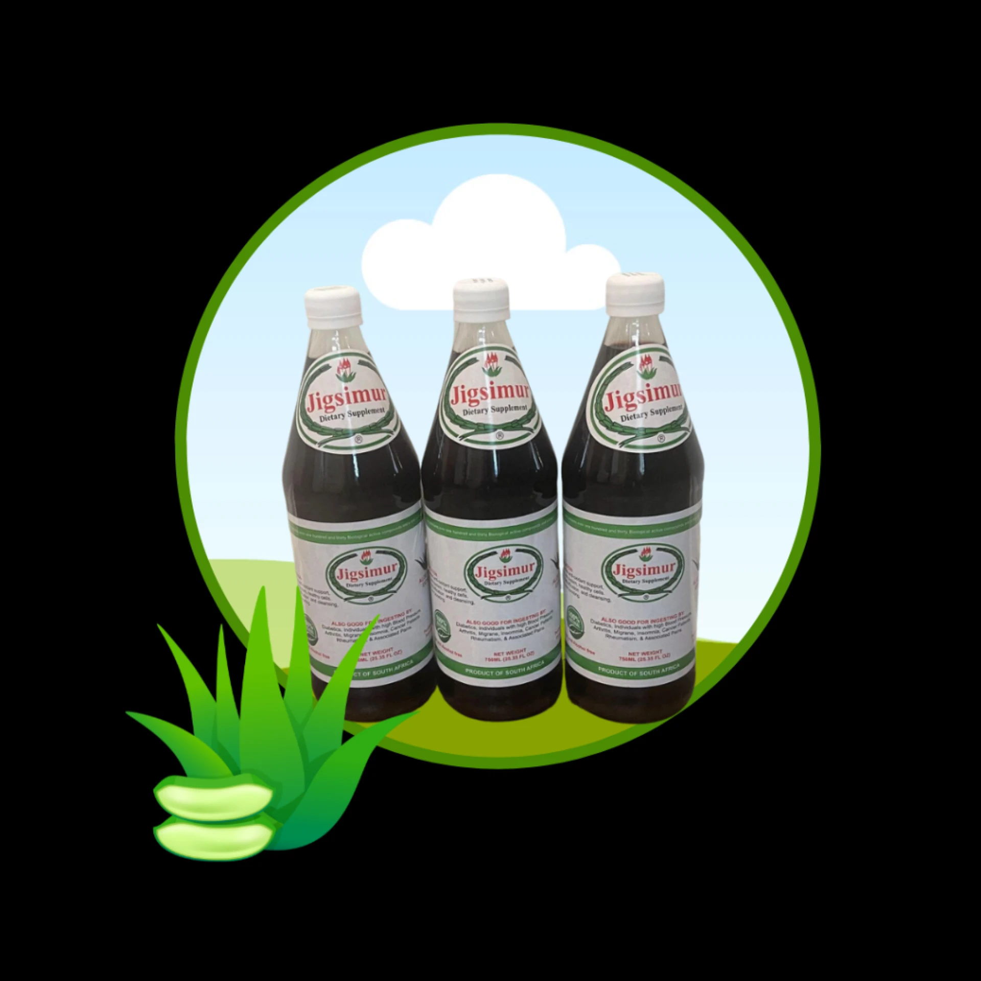 A Gentle Reset: Rethinking Daily Wellness with Plant-Based Support