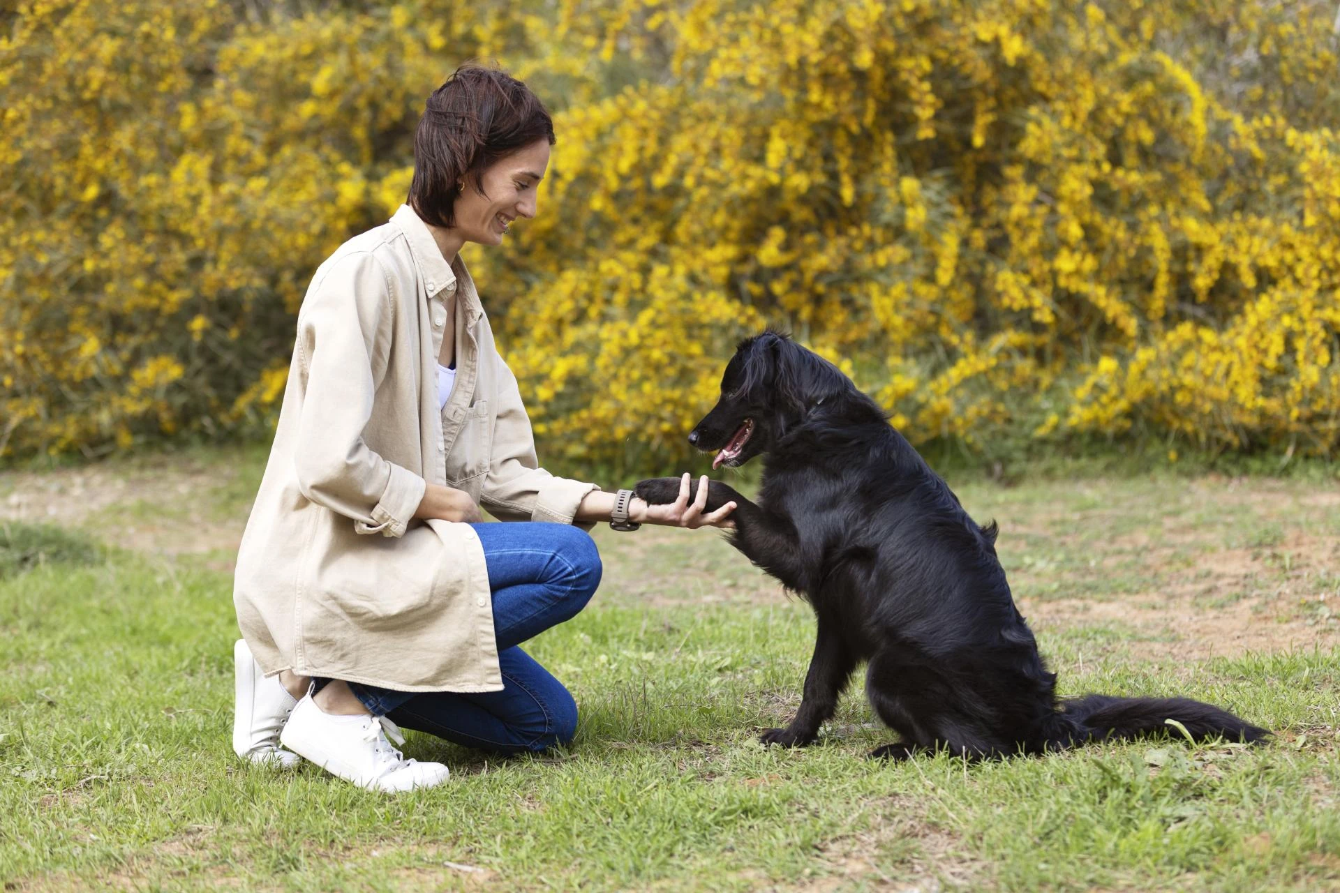 Why Do Dog Behavior Specialists Recommend Force-Free Training Methods?