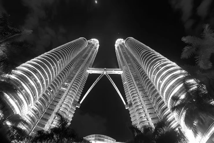 Guide to Social Companion Services in KL Sentral Area