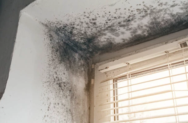 Top 10 Common Causes of Water Damage in Homes