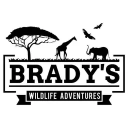 Experience Unforgettable Africa Wildlife Adventures with Brady’s Wildlife Adventures
