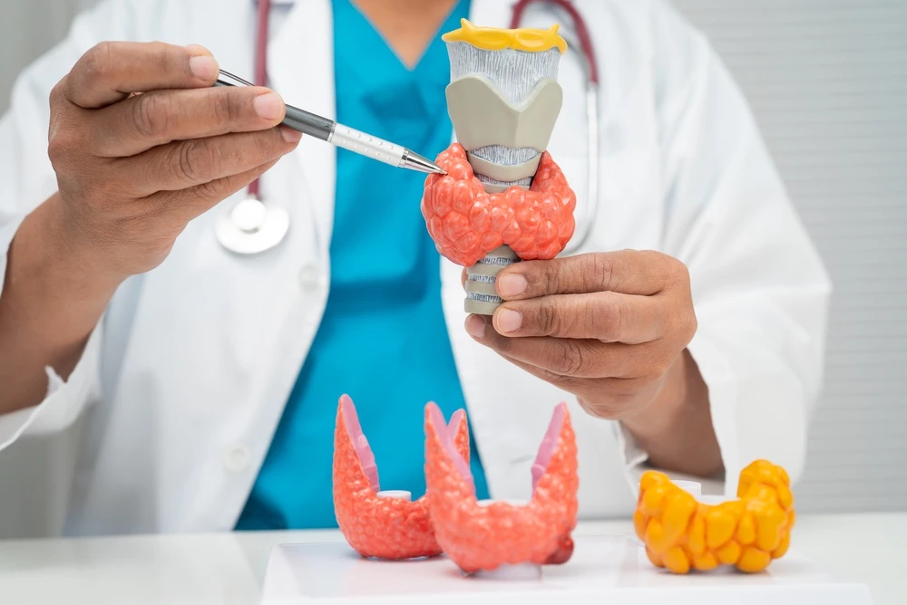How Lifestyle and Medicine Work Together for Thyroid Care