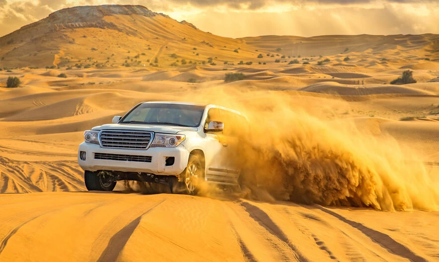Dubai Morning Desert Safari Adventure – A Perfect Start to Your Day