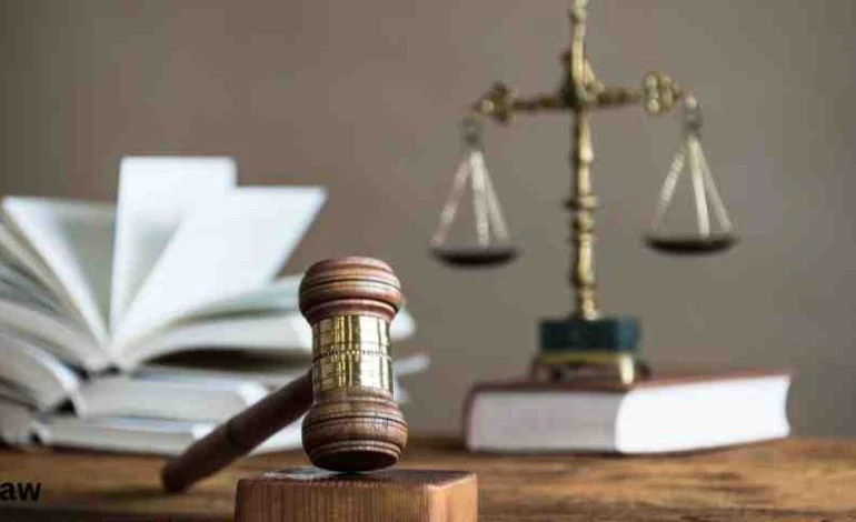 Why Insolvency Professionals Are in High Demand in India