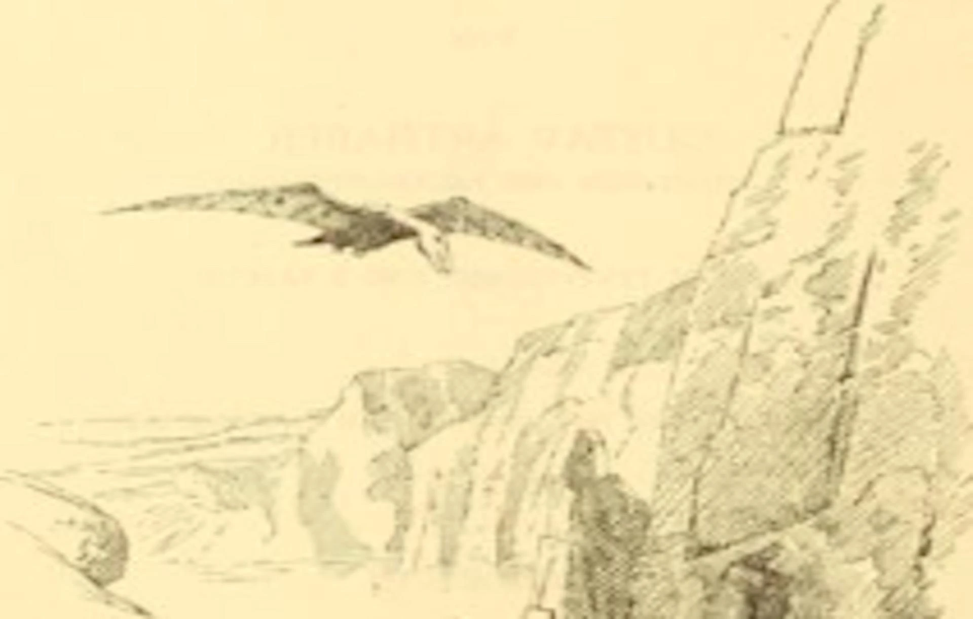 Mathematics and creativity have long shared