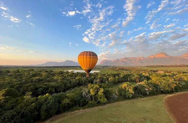 Safari Tours in Africa Experience Wildlife Adventures and Hot Air Balloon Wonders in Johannesburg