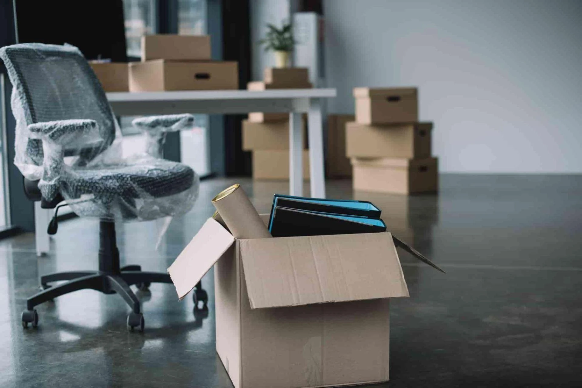 Is Your Office Move Built Around Speed—or Business Continuity?