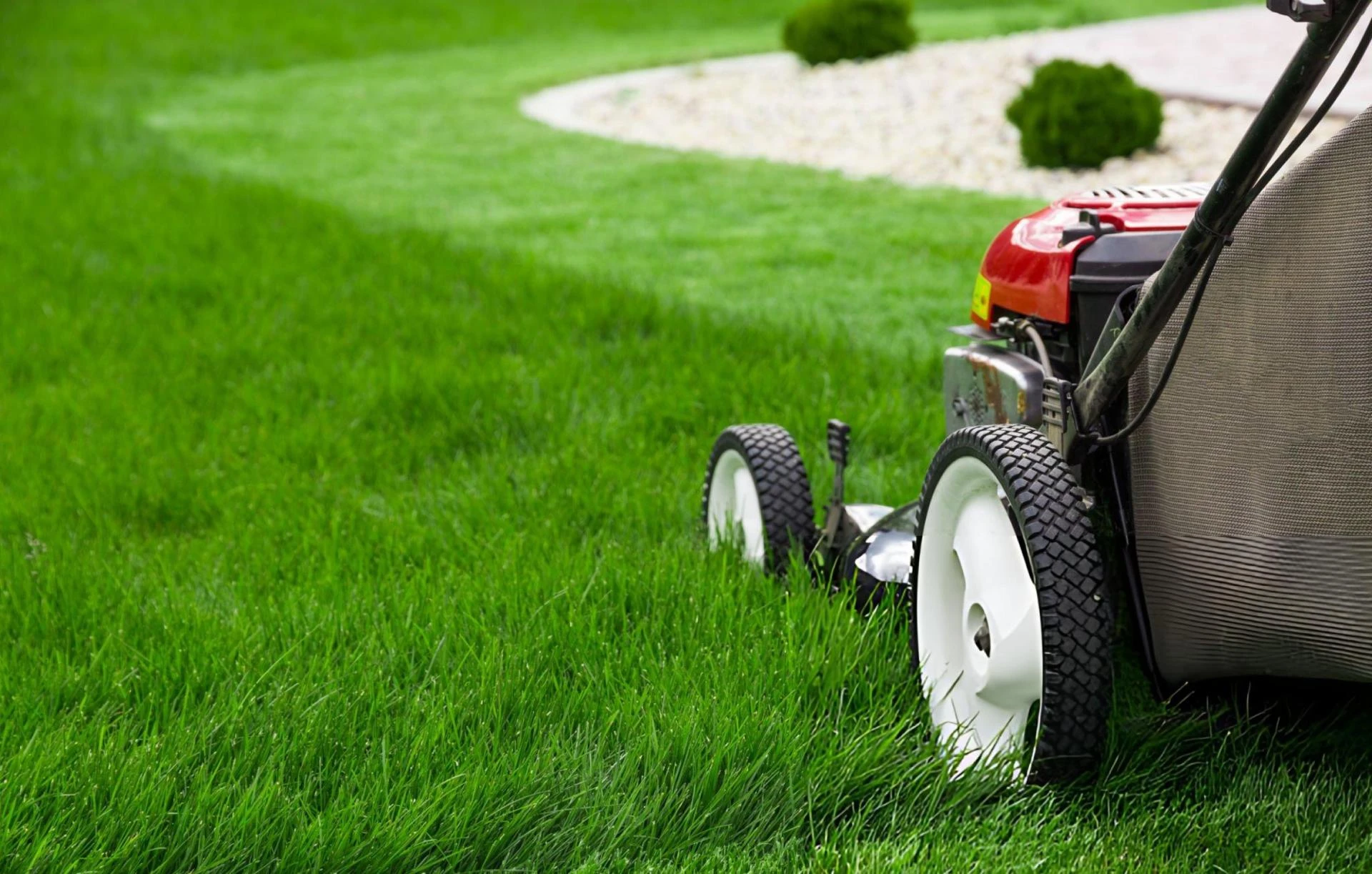 Residential Landscaping Service Near Me for Beautiful and Functional Outdoor Spaces