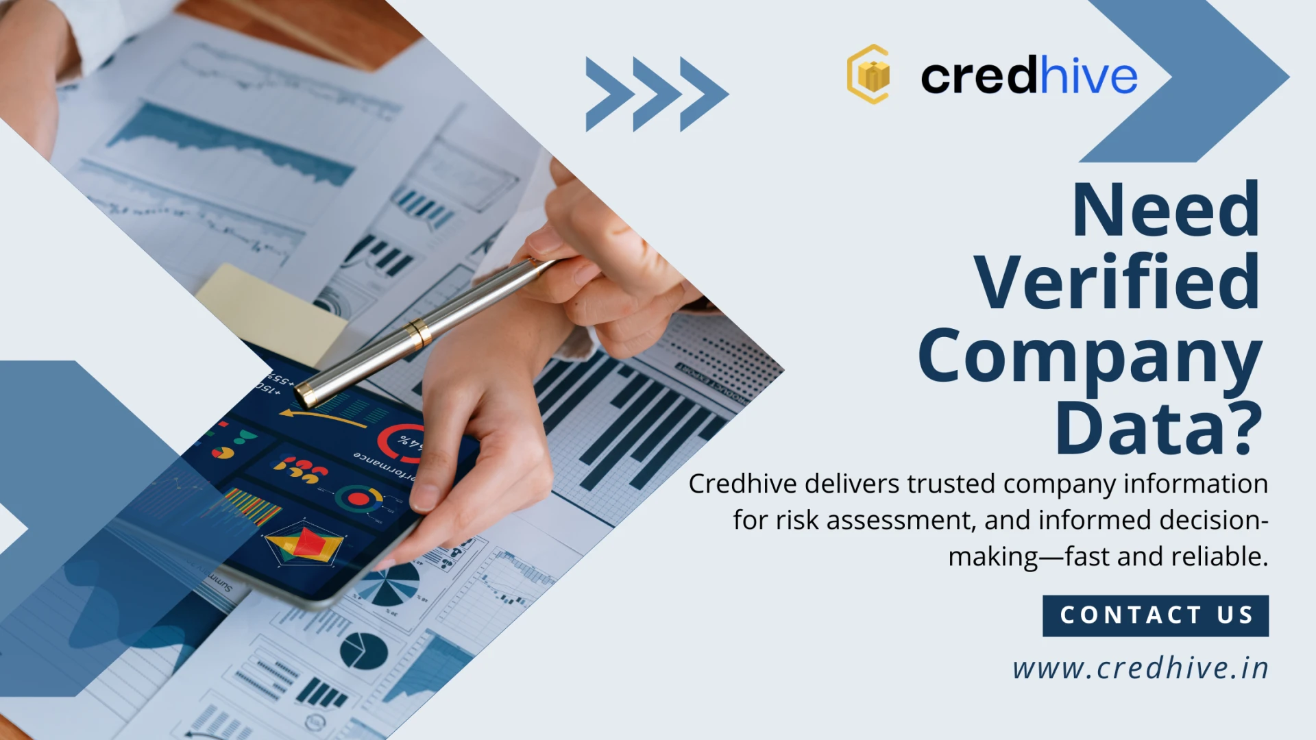 Director Master Data Explained: A Guide for Business Research