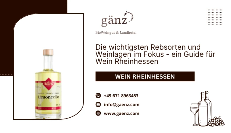 Die wichtigsten Rebsorten und Weinlagen im Fokus - ein Guide für Wein Rheinhessen