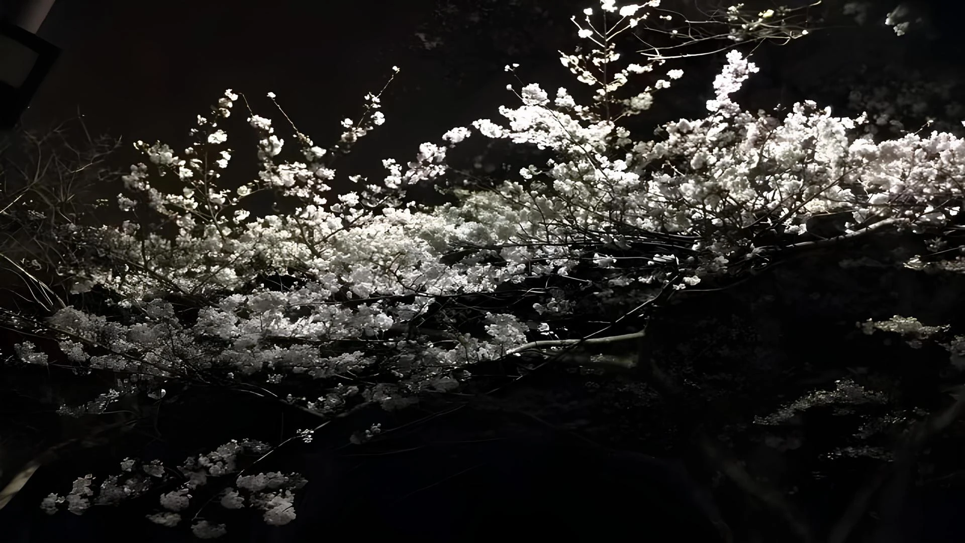 Informationsökonomie