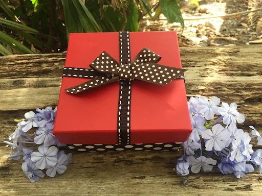 Why is Butterfly Release for Memorial Service Popular at Funerals?