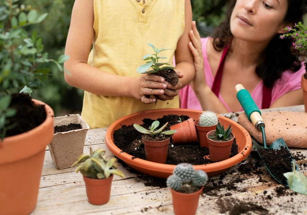 Gardening for Beginners India: Easy Guide to Start Your Home Garden