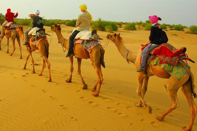 Jaisalmer Half-Day Sightseeing: History, Culture, and Views