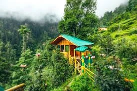 Jibhi Travel Guide – Best Places to Visit in Jibhi Himachal Pradesh