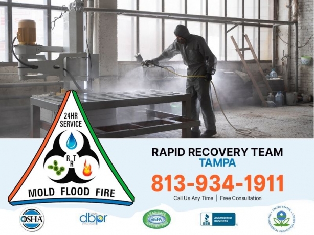 How Can Water Damage Restoration in Tampa Protect Your Home from Mold Issues?