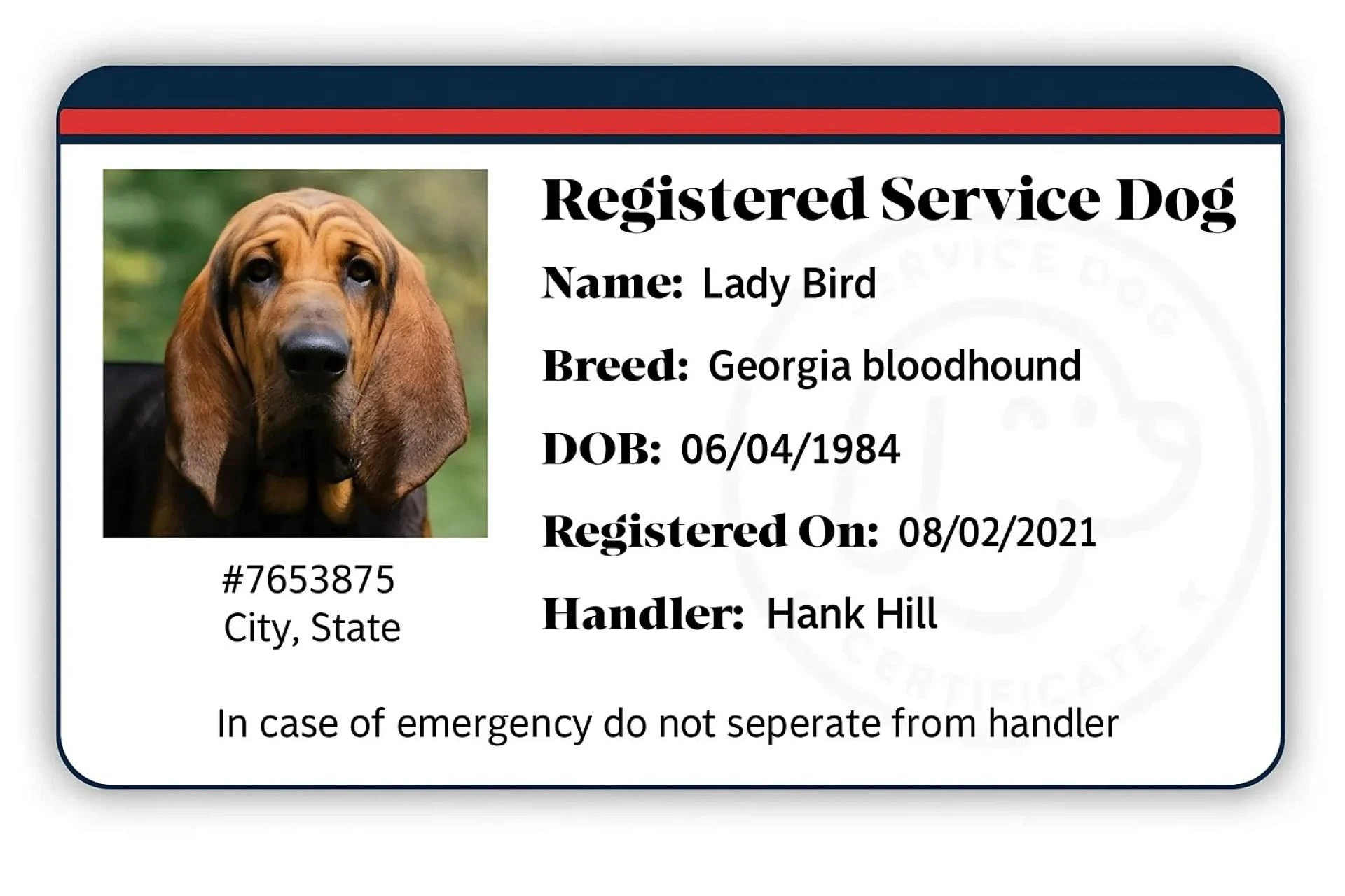 How to Register Your Emotional Support Dog Online