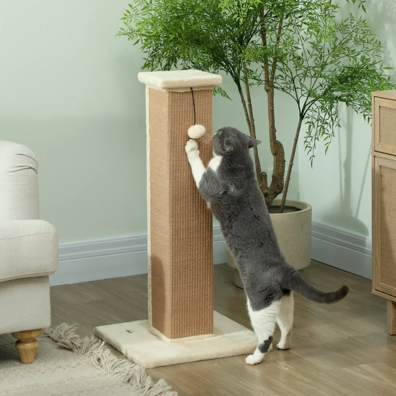 How to Choose the Right Cat Scratcher for Your Cat