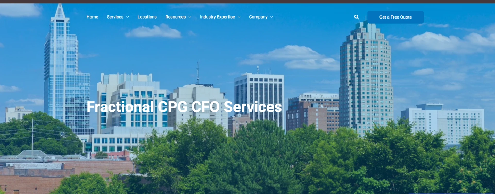 Strategic Financial Leadership for Growing Brands: The Importance of CPG CFO Services