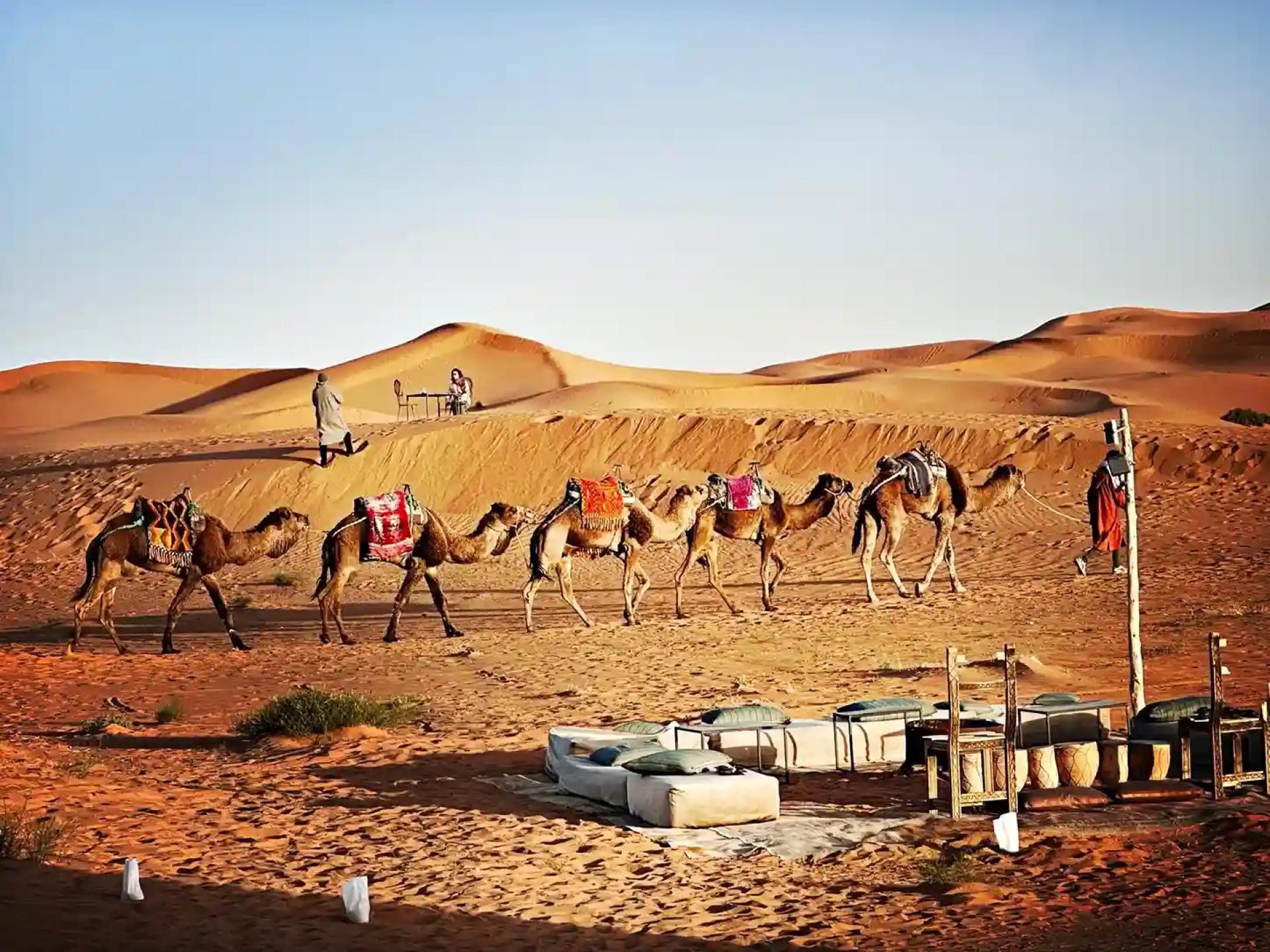 Best 10 Days Morocco Tour from Tangier: Explore Morocco’s Highlights